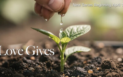 Love Gives: Bringing it Home!!